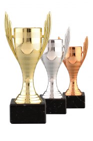 Cupe Sportive PE 19
